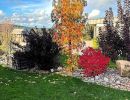 jardin aux couleurs d'automne